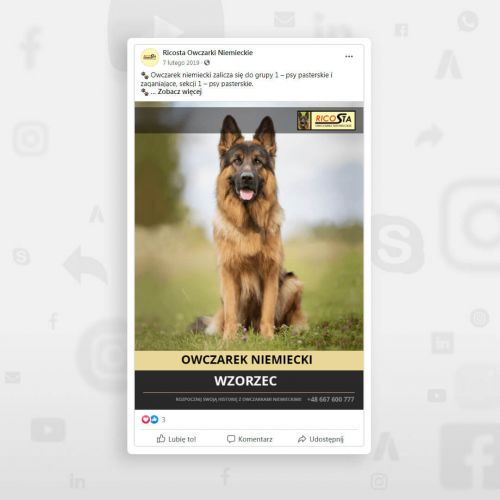 Media społecznościowe - Ricosta Hodowla Owczarków Niemieckich